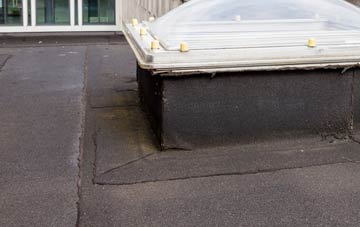 disadvantages of Castor flat roofs