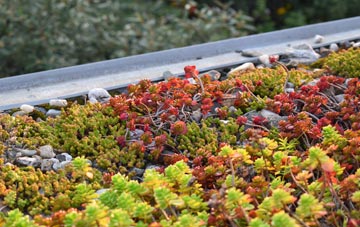 the cost of Castor green roof installation