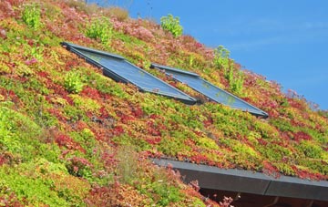 Castor living roof systems